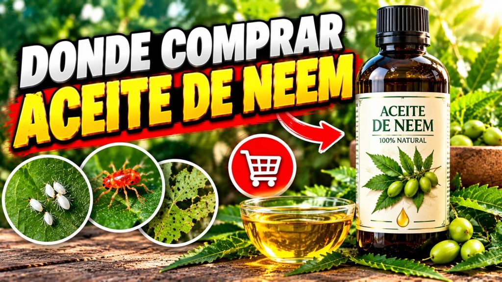 Donde comprar aceite de neem para plantas